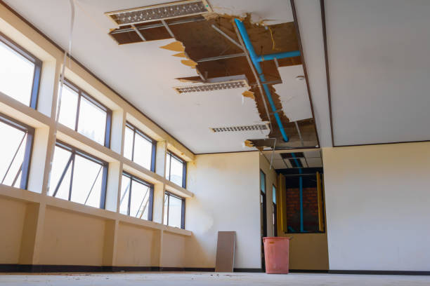 Best Ceiling water damage repair  in Benton, AR