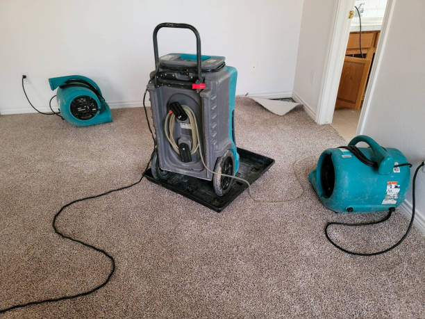 Best Flood restoration services  in Benton, AR