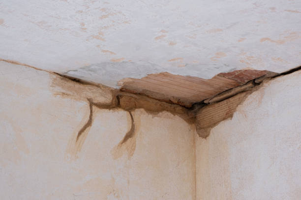 Best Mold removal after water damage  in Benton, AR