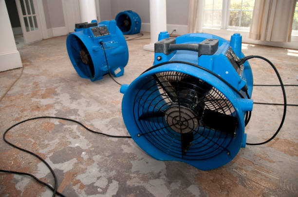 Best Basement water damage restoration  in Benton, AR